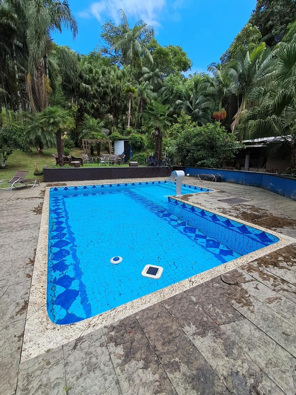 Piscina de alvenaria em jardim tropical, manutenção pela Guizoni Piscinas — foto de cliente de madeira em meio ao jardim, mantida pela Guizoni Piscinas